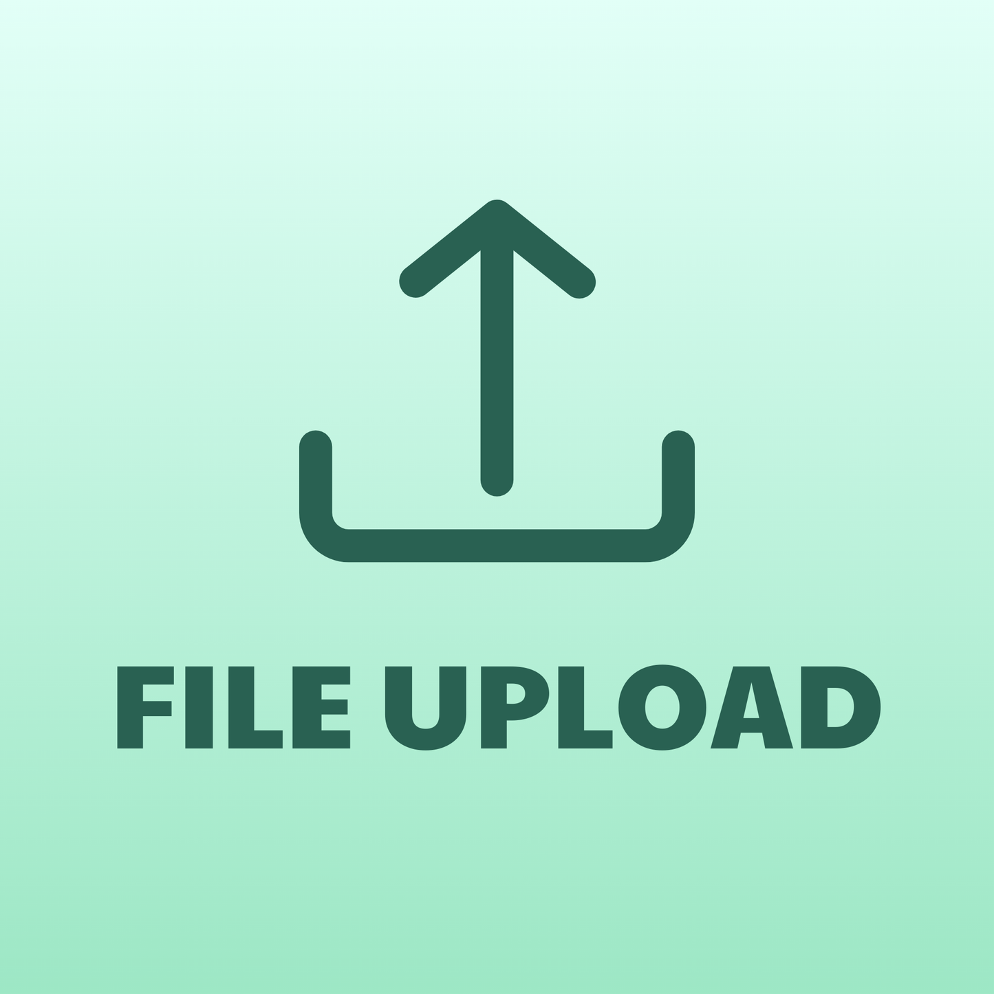File Upload