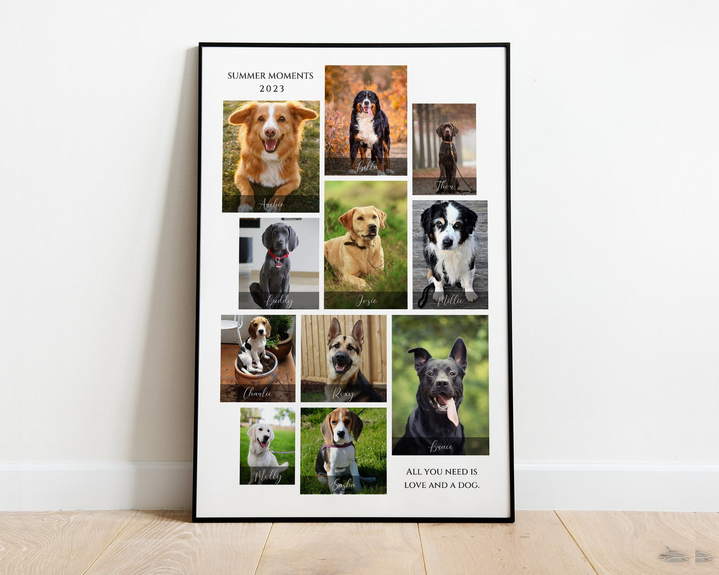 Pet Memorial Photo Frame